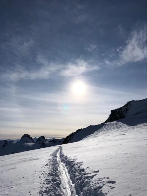 Chalet vue montagne , proche des pistes - Chalet - 39