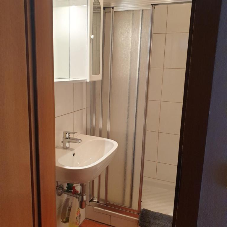 Ferienhaus Schäfer - Apartments - Wintersports - Family holiday - Holiday with your dog - Rural & Scenic - Apartment mit 1 Schlafzimmer und Garten - 11