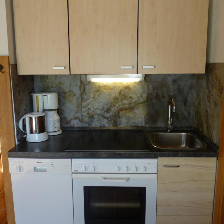 Ferienhaus Schäfer - Apartments - Wintersports - Family holiday - Holiday with your dog - Rural & Scenic - Apartment mit 1 Schlafzimmer und Garten - 12