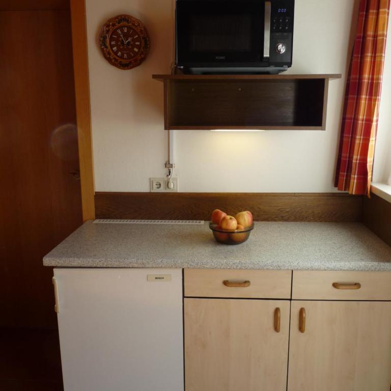 Ferienhaus Schäfer - Apartments - Wintersports - Family holiday - Holiday with your dog - Rural & Scenic - Apartment mit 1 Schlafzimmer und Garten - 13