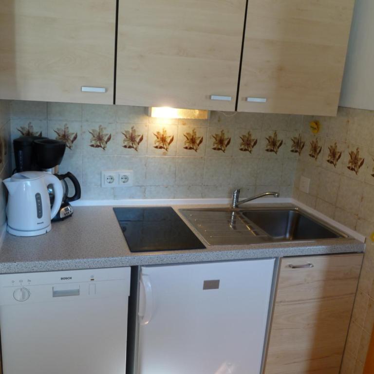 Ferienhaus Schäfer - Apartments - Wintersports - Family holiday - Holiday with your dog - Rural & Scenic - Apartment mit 1 Schlafzimmer, Balkon und Bergblick - 11