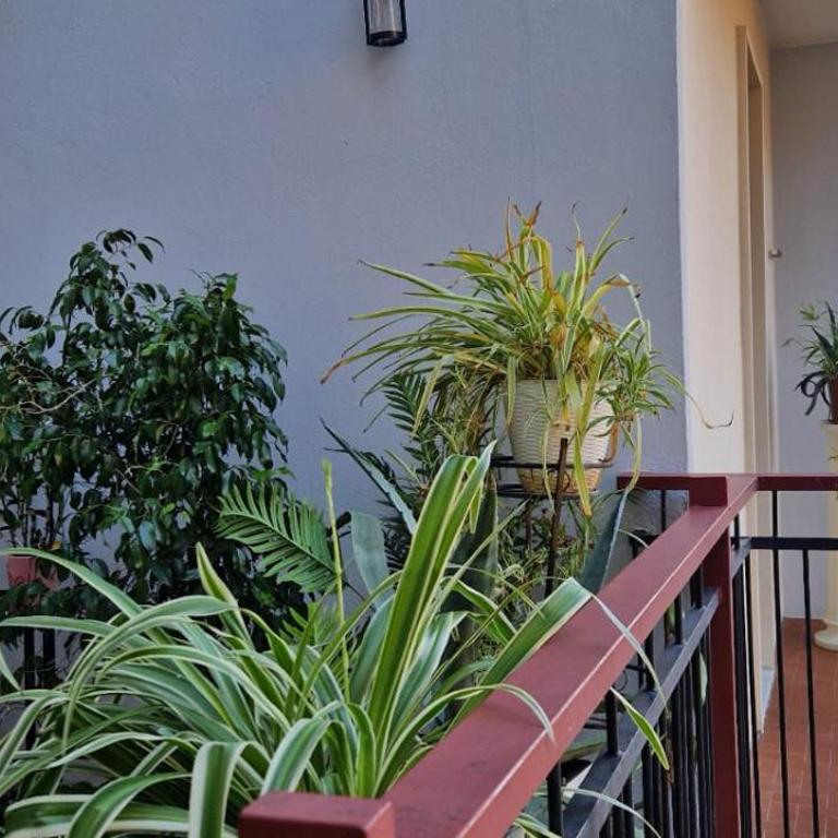 Maison Sofia - Two-Bedroom Apartment with Balcony - 14