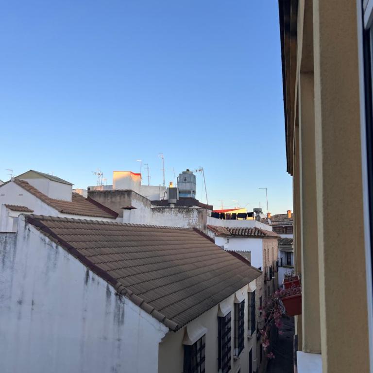 Apartamento suites HZ centro - Apartamento de 2 dormitorios - 24