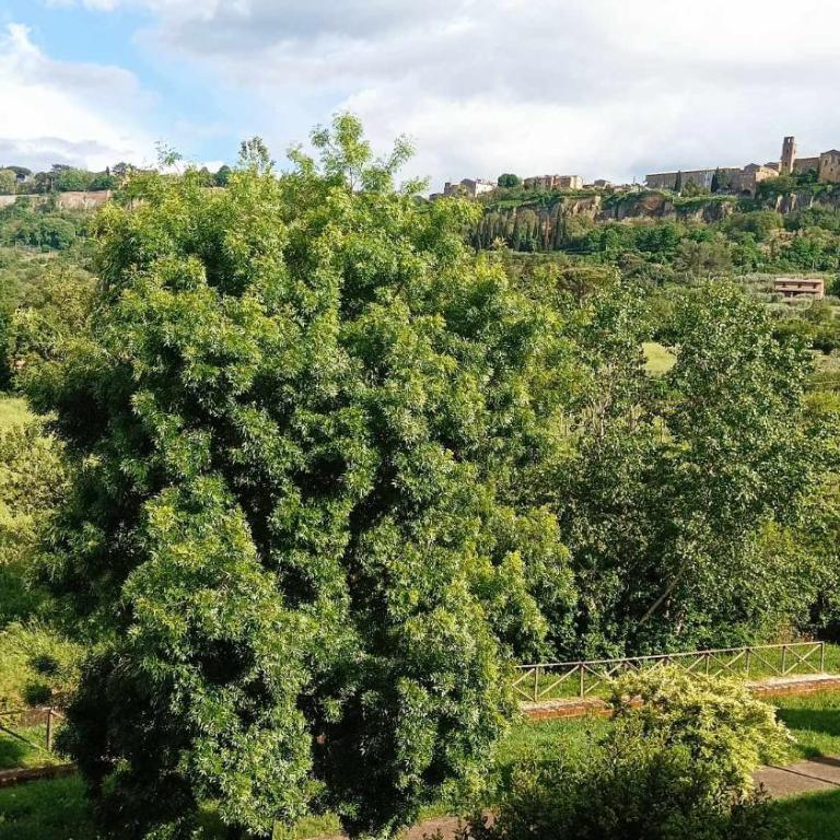 Casa Bonaventura Orvieto - Appartamento con 2 Camere da Letto - 38