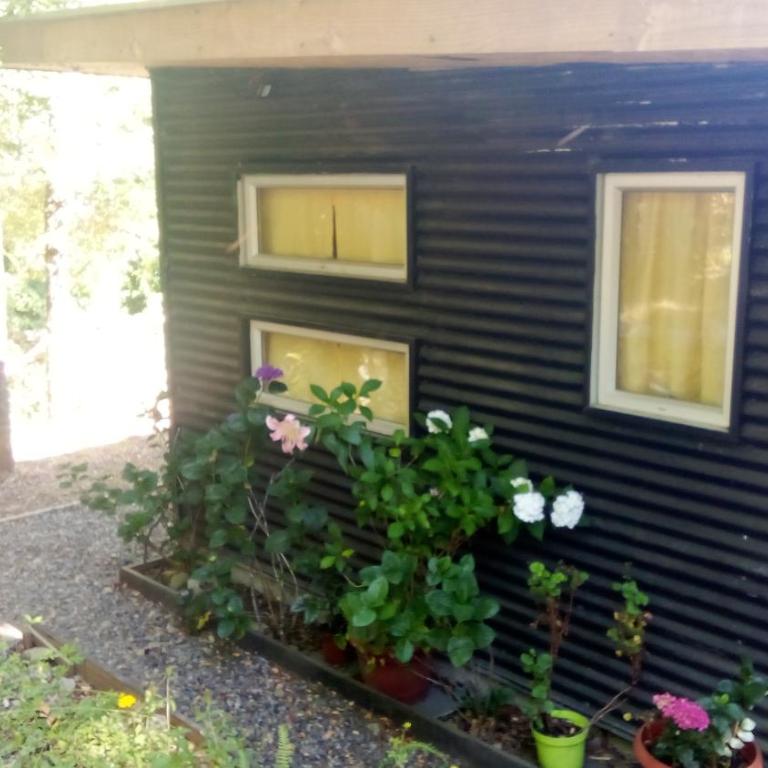 Cabaña en la naturaleza Futrono - One-Bedroom Apartment - 7