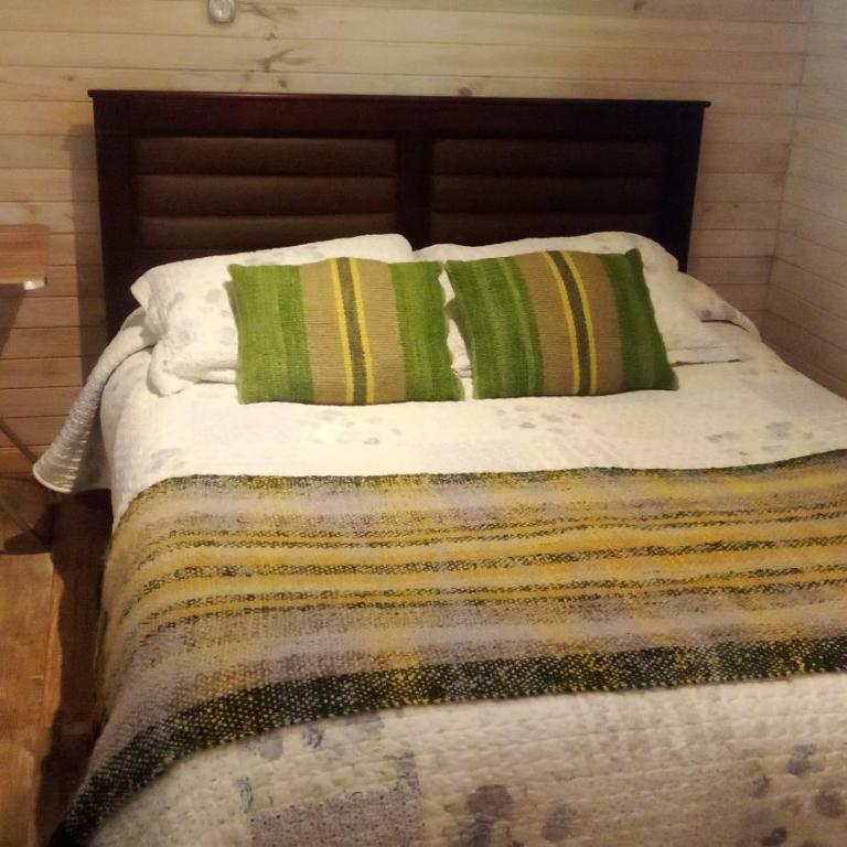 Cabaña en la naturaleza Futrono - One-Bedroom Apartment - 3