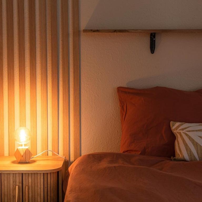 Le Schuman Logement Centre Mulhouse Parking - Apartamento de 2 dormitorios - 29