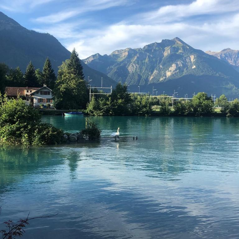 Aareblick 68 Charming studio with river view - Apartment mit 1 Schlafzimmer - 21