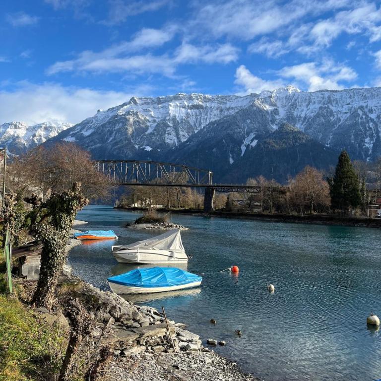 Aareblick 68 Charming studio with river view - Apartment mit 1 Schlafzimmer - 17