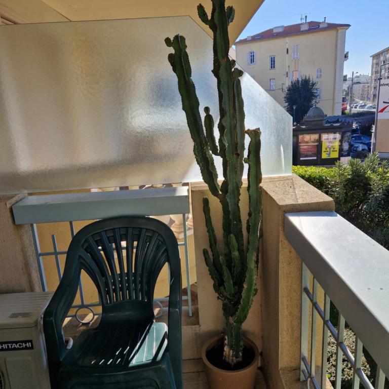 Cannes près Croisette beau 2 pièces 3 étoiles - Appartement - Vue sur Jardin - 19