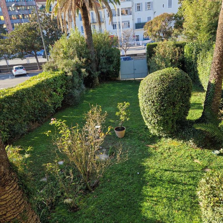 Cannes près Croisette beau 2 pièces 3 étoiles - Appartement - Vue sur Jardin - 12