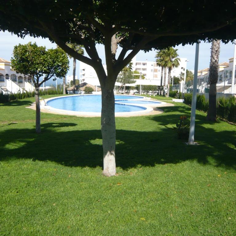 Alhambra Apartments - Apartment - Ground Floor - 31