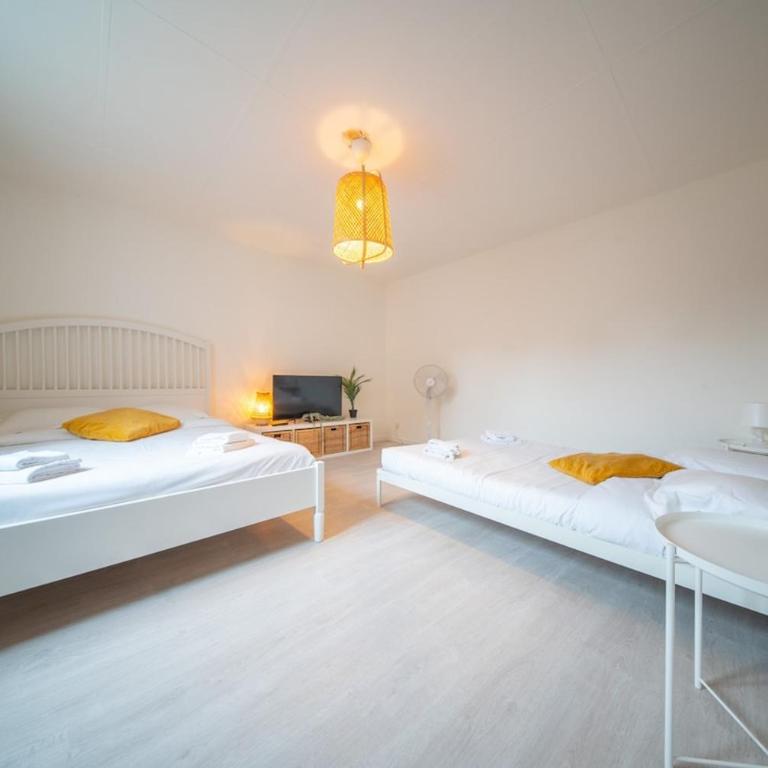 Very nice apartment - downtown Mulhouse Le 42 - Appartamento con 1 Camera da Letto - 5