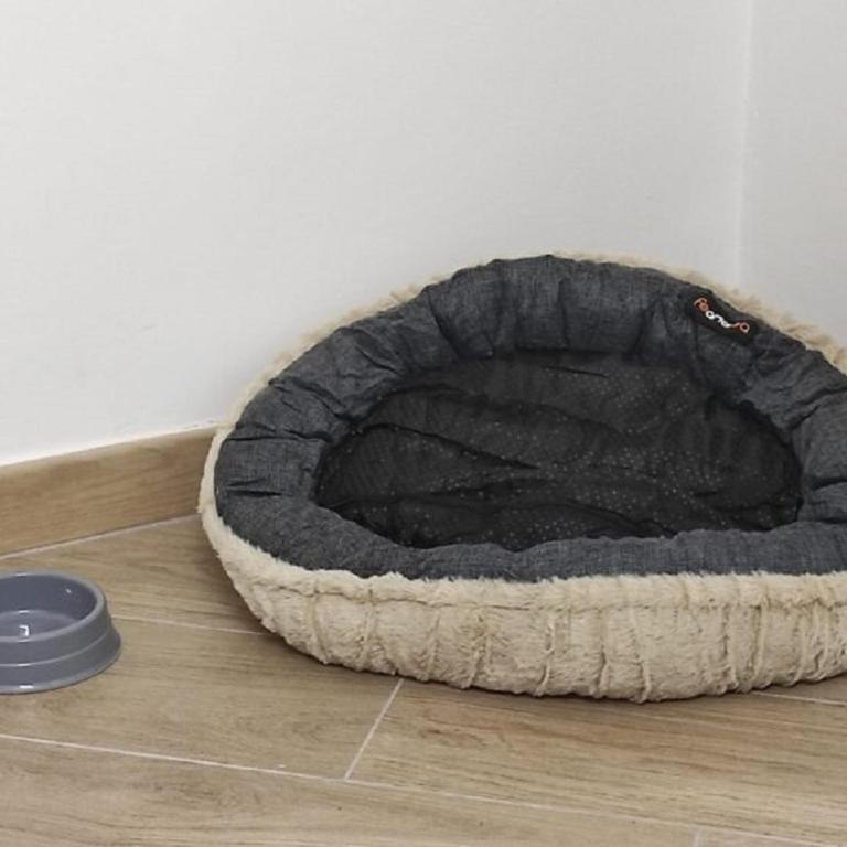 Cerea Turin - Appartamento con 1 Camera da Letto - 21
