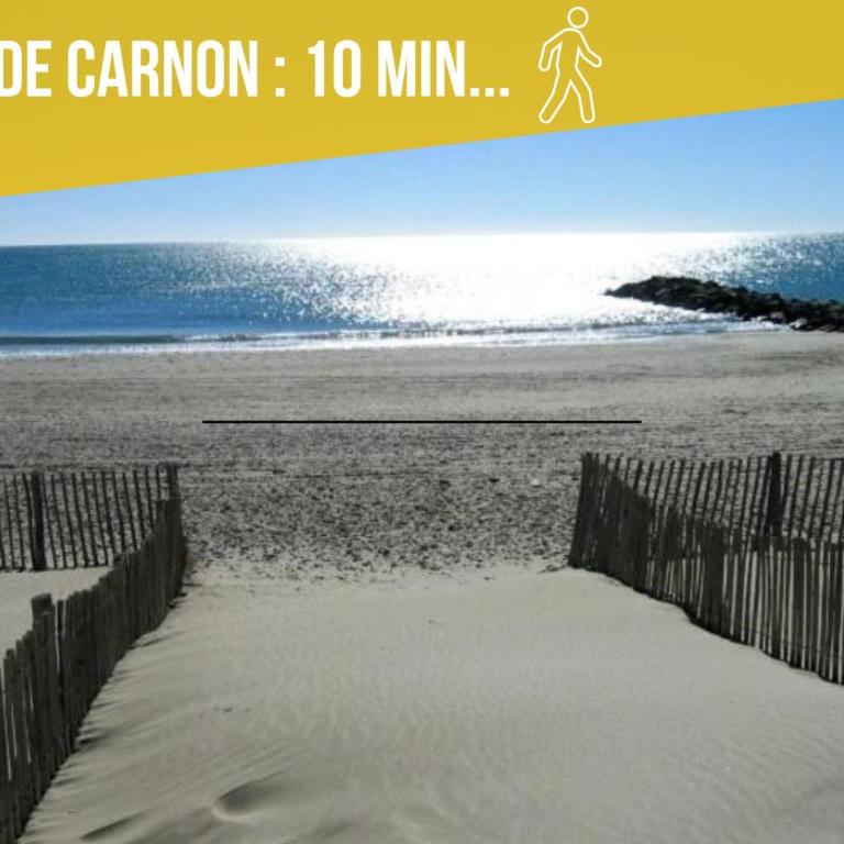 Studio cabine AZUR ,5 min mer -5 min Arena - clim - parking gratuit privée - 4 personnes - Studio - 17