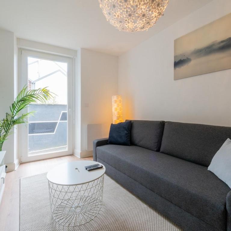 Merles 15 RDC Centre Mulhouse Stationnement - Apartamento de 1 dormitorio - 6