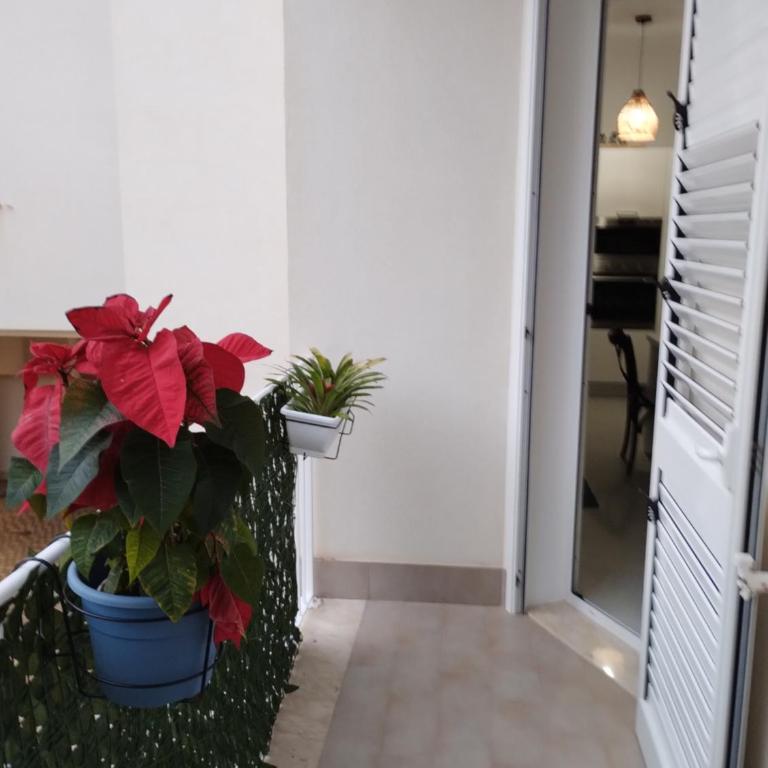 Residence Spiaggia Centro - Aria Condizionata Wi-Fi&SelfCheck-In - Sole&Mare Home - Appartamento con 2 Camere da Letto - 14