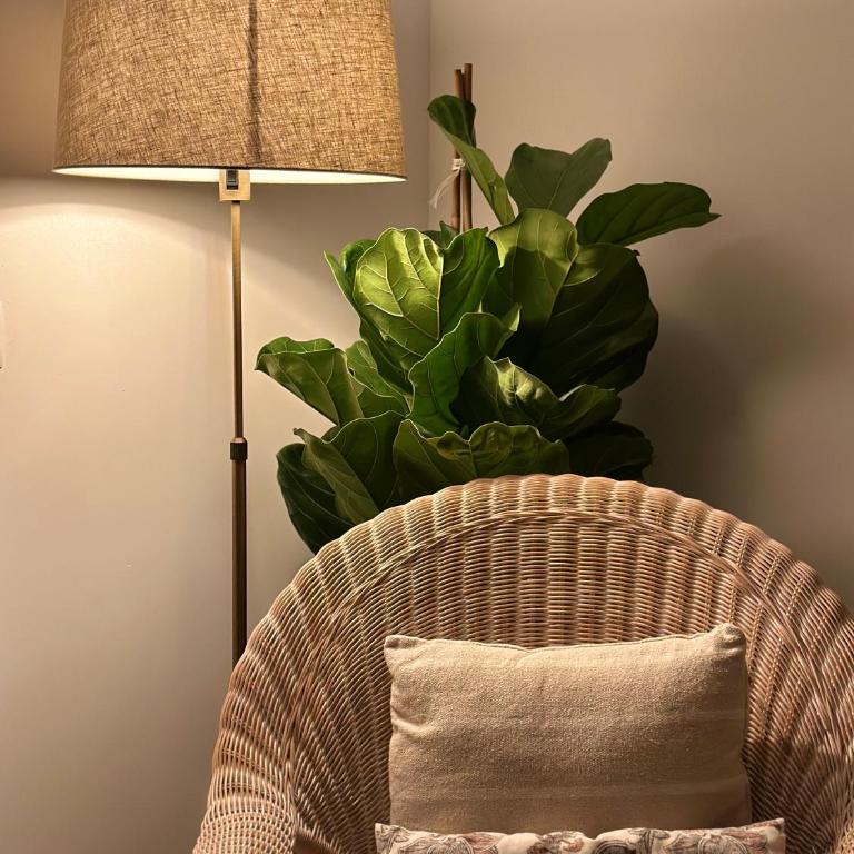 Can Luc Altea - Apartamento Deluxe - 54