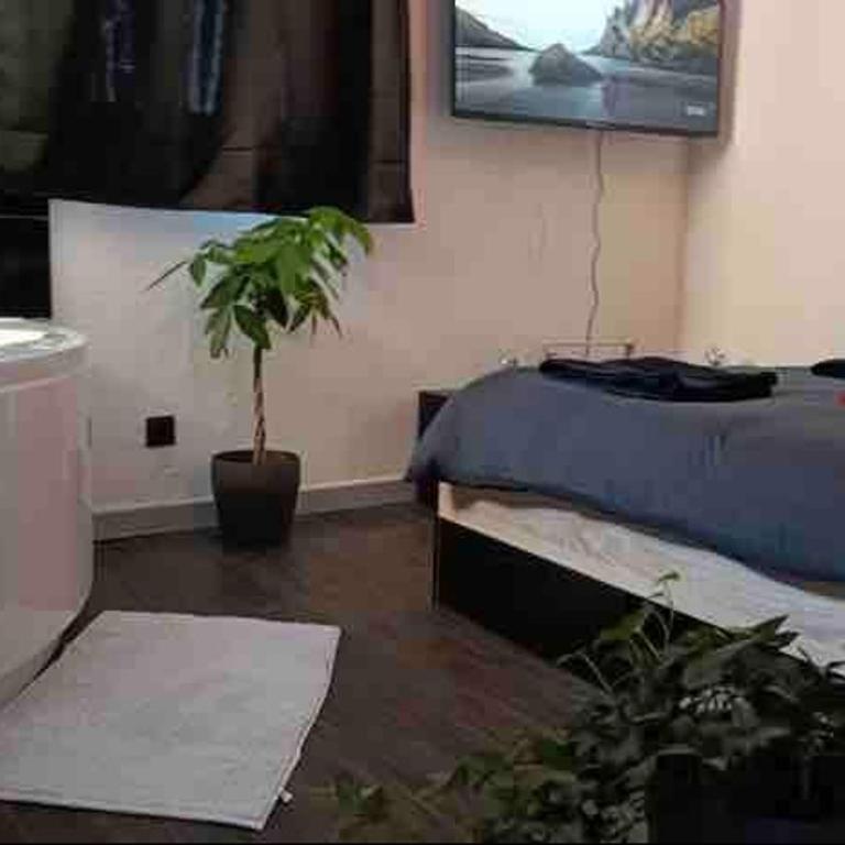 Love room Buenas noches SPA et bord de mer - Apartment mit 1 Schlafzimmer - 32