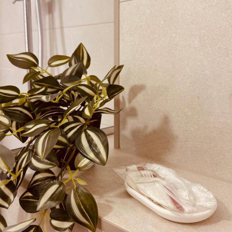 Rosa Canina, Stylish & Brand New Apartment - Apartman sa 1 Spavaćom Sobom - 35
