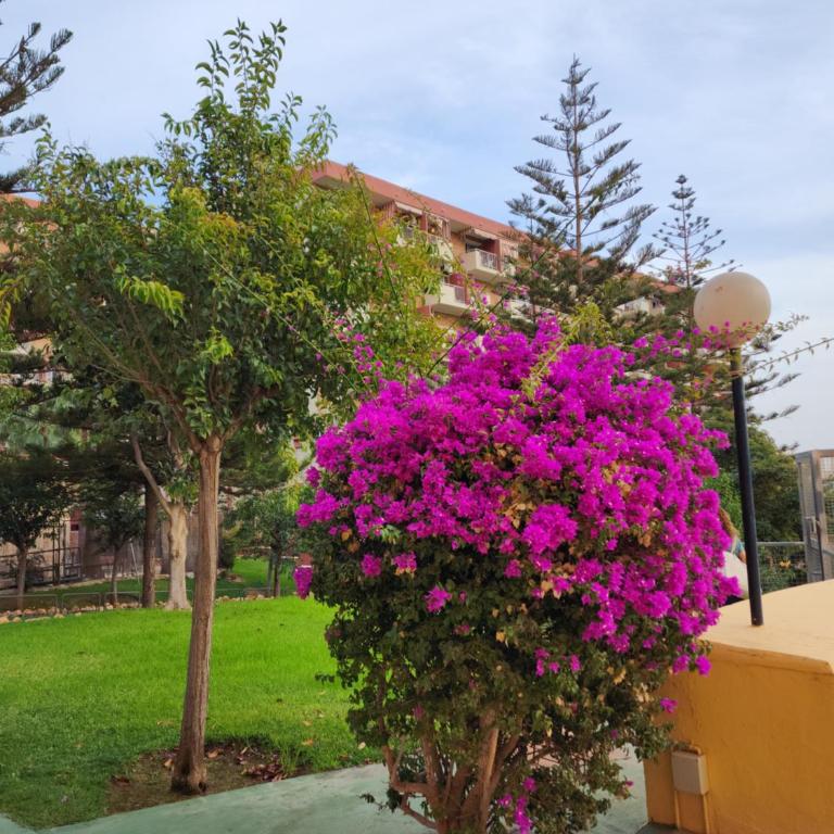 Benalmadena Minerva Apartamento con gran piscina - Apartamento Estudio - 24