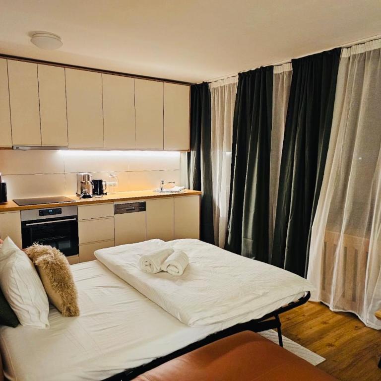 NĀVA PLACE Alpine Apartment in Kaprun - Peaceful Location, Near Glacier & WiFi - One-Bedroom Apartment - 3