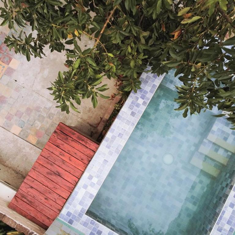 Nido, Los Colibríes VI - Apartamento - Planta baja - 4