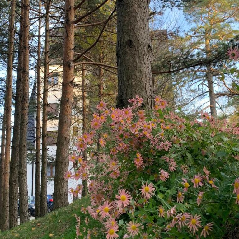 Apartman Veverko - Apartman sa 2 Spavaće Sobe - 25