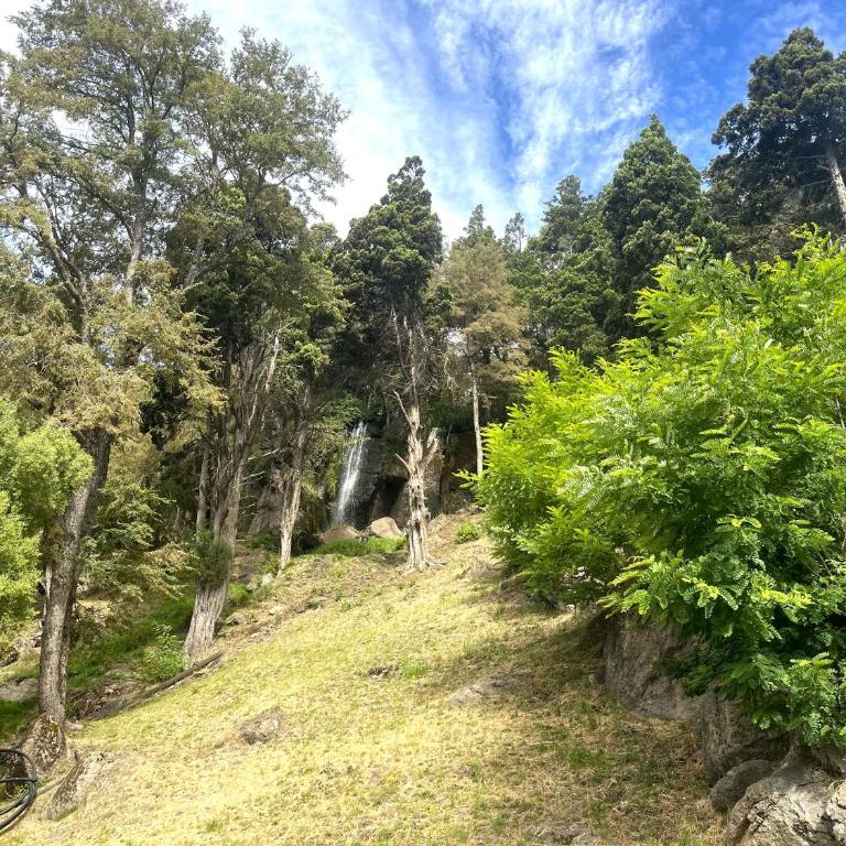 Depto Nómades, con vista directa a la cascada - Ayres del Bosque Alojamientos - Apartamento de 2 dormitorios con vistas a la montaña - 42