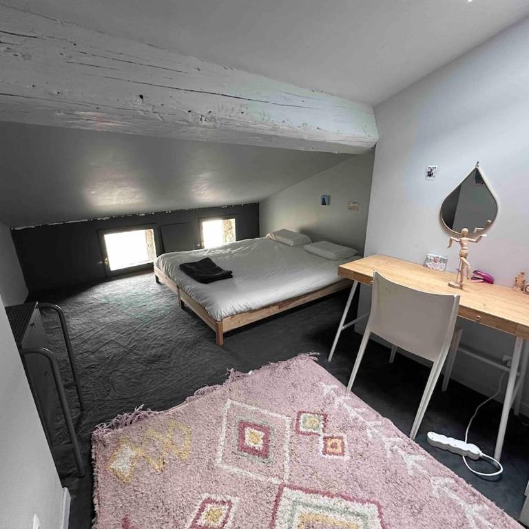 Le Prestige Vieux Lyon, Duplex Vue sur la Saône - Appartement - 13