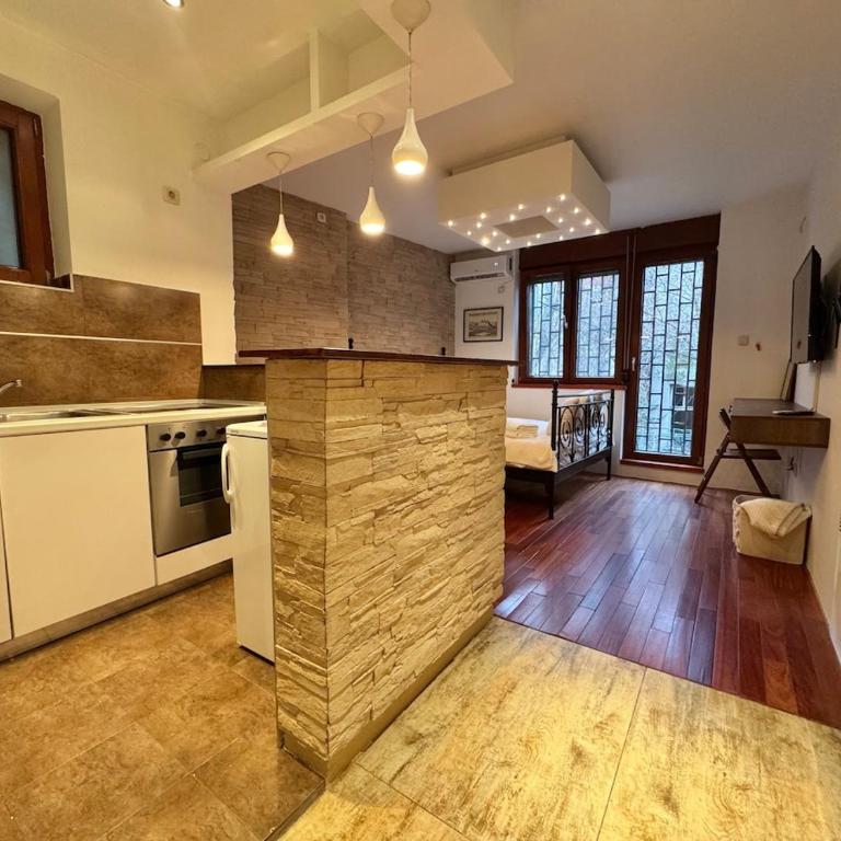Studio Skadarlija - One-Bedroom Apartment - 1