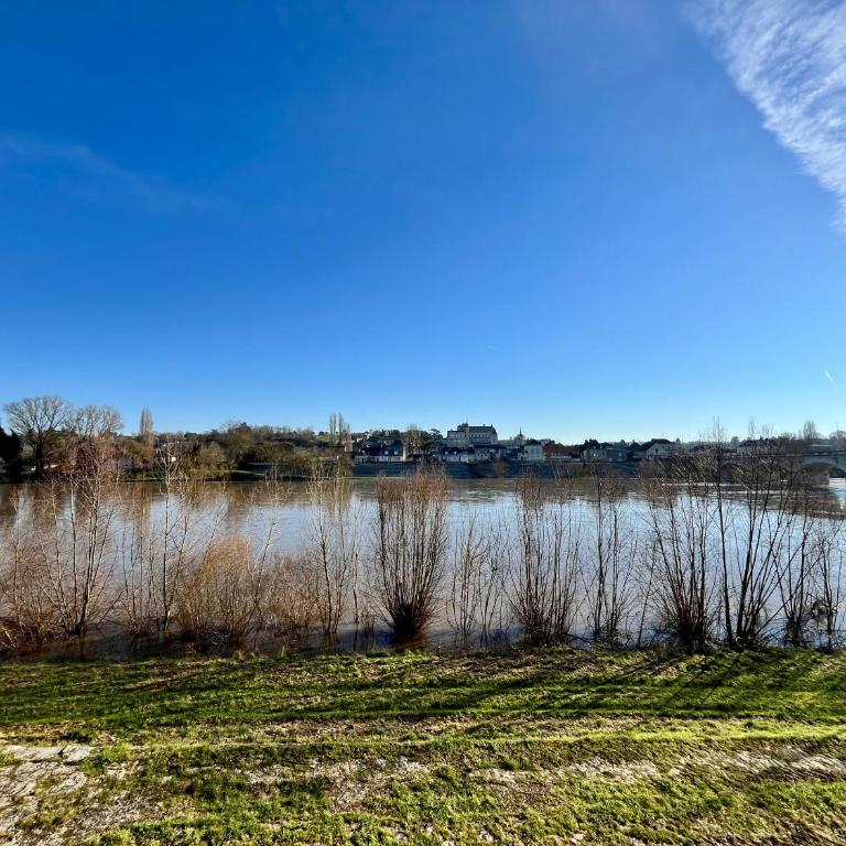 T3 climatisé face Loire et château l'appart du 4-1 - Two-Bedroom Apartment - 21