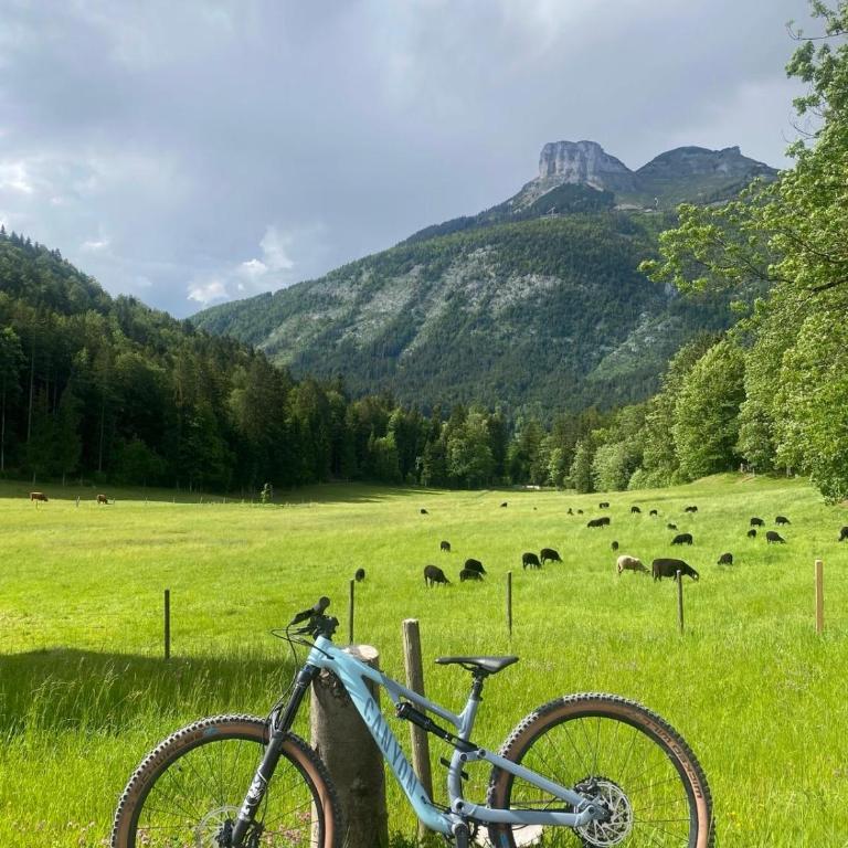Nest Salzkammergut- Cozy Stay in Bad Aussee, Near Hallstatt - Garden & BBQ - Apartment mit 1 Schlafzimmer - 53