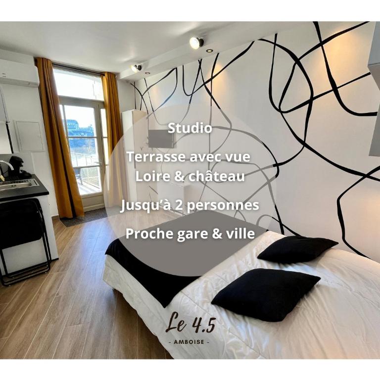 Studio climatisé face Loire et château le 4-5 - Studio - 1