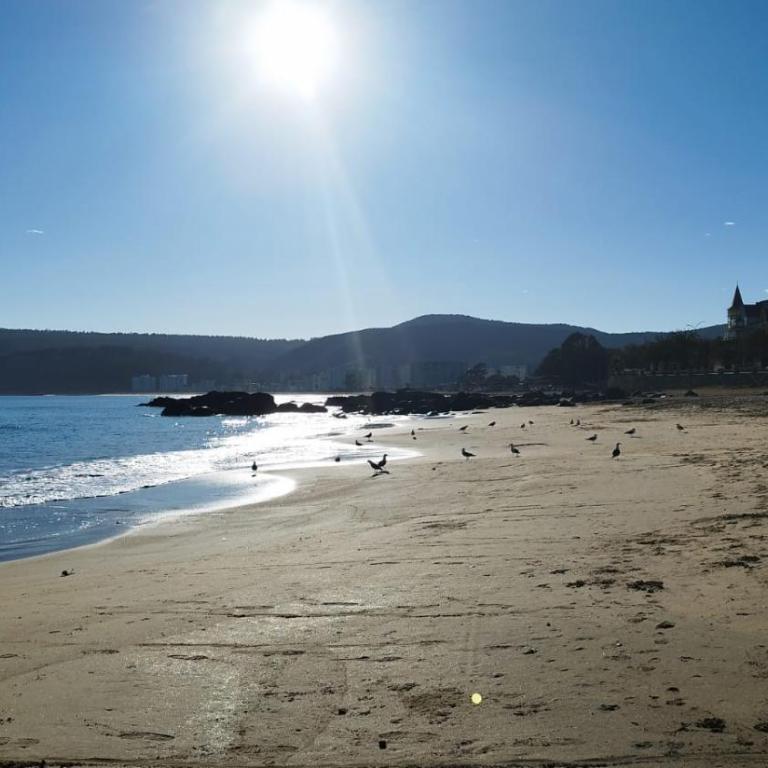 Precioso departamento con vista a la playa - Two-Bedroom Apartment with Terrace and Sea View - 3