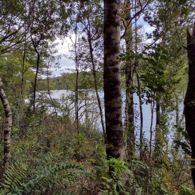 Casa Peñasmó - Three-Bedroom House - 7