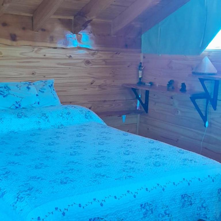 Los Trevelinos - Chalet de 1 dormitorio - 12