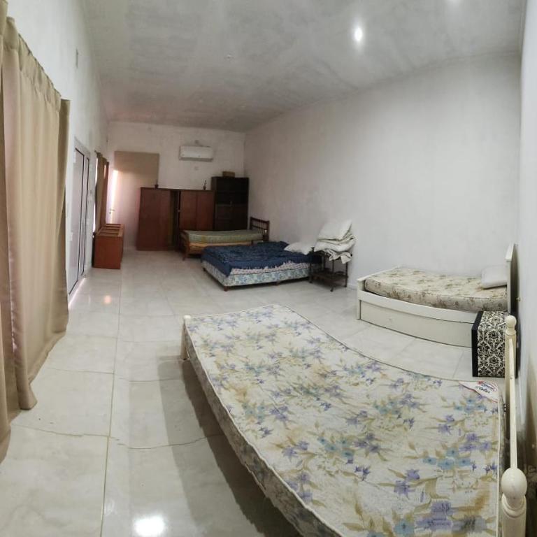 Quinta Las Palmeras - Casa con 1 dormitorio - 4