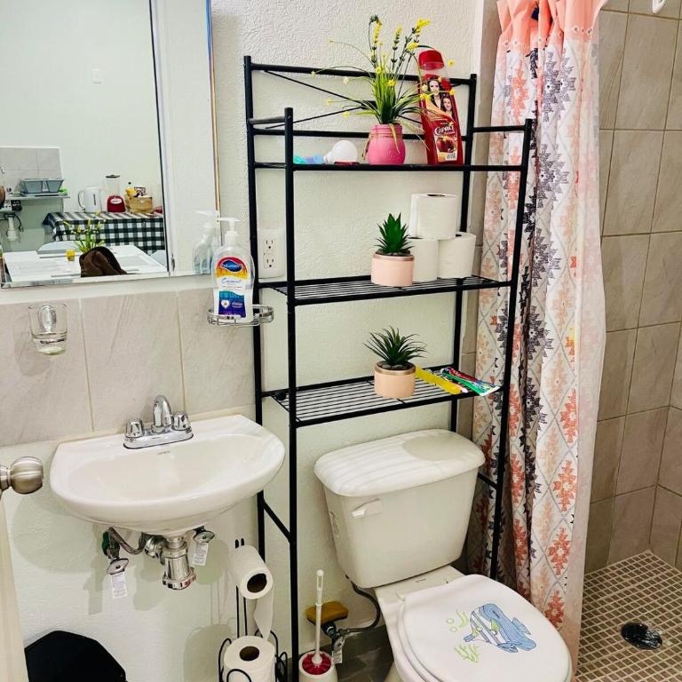 Departamento Acapulco Diamante - Apartamento de 2 dormitorios - 56