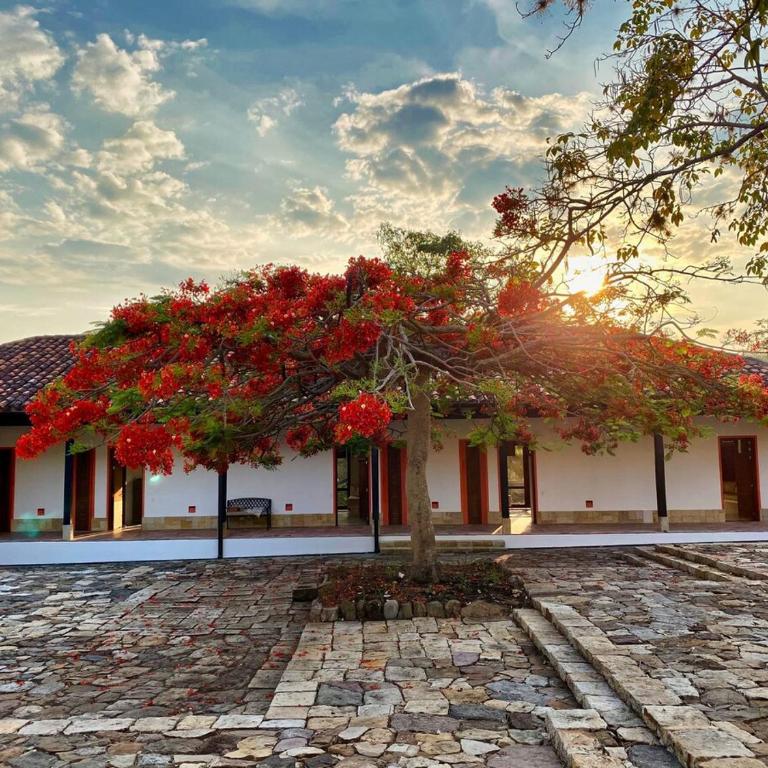 Historic Colonial Retreat Mango Farm 24ppl - Villa - 3