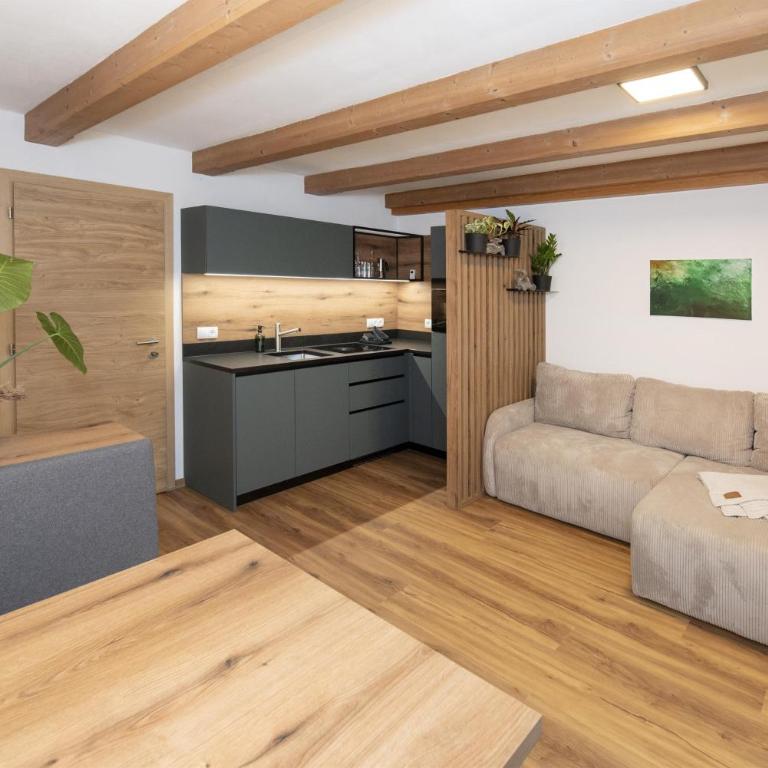 Naturapartments Alpbach - Alpin Bio Deluxe - Deluxe Apartment - 35