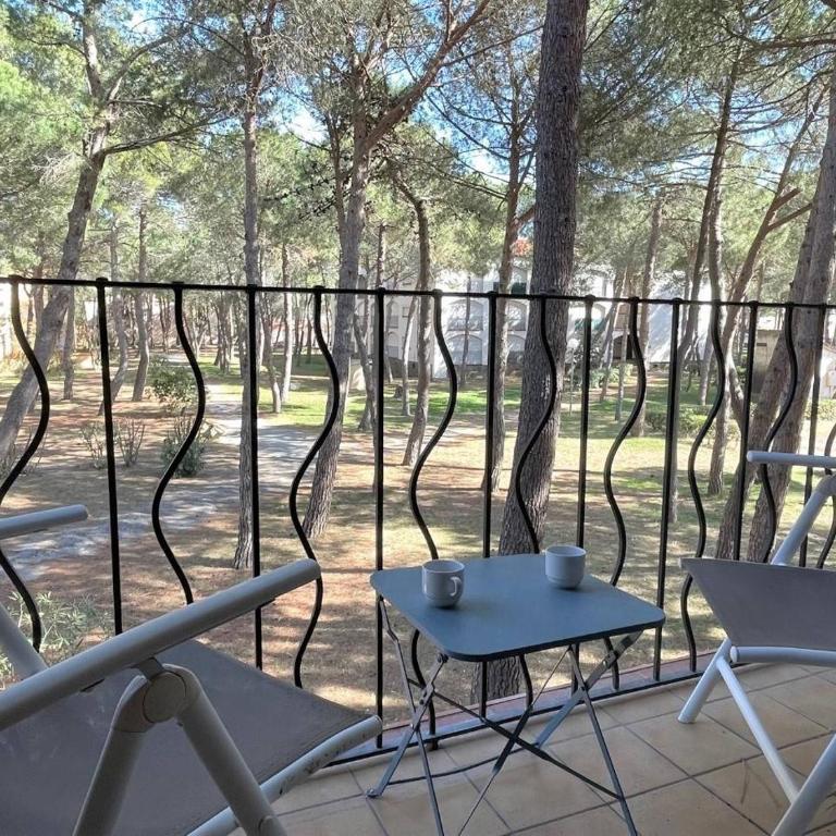 Appartement studio cabine à 300m de la plage - AR530-027 - Apartment - 1