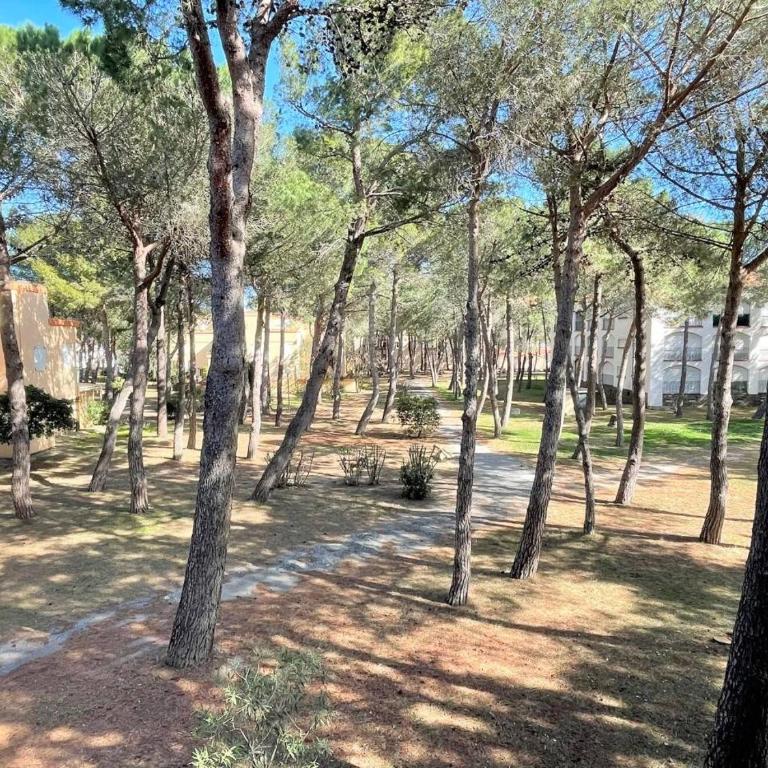 Appartement studio cabine à 300m de la plage - AR530-027 - Apartment - 2