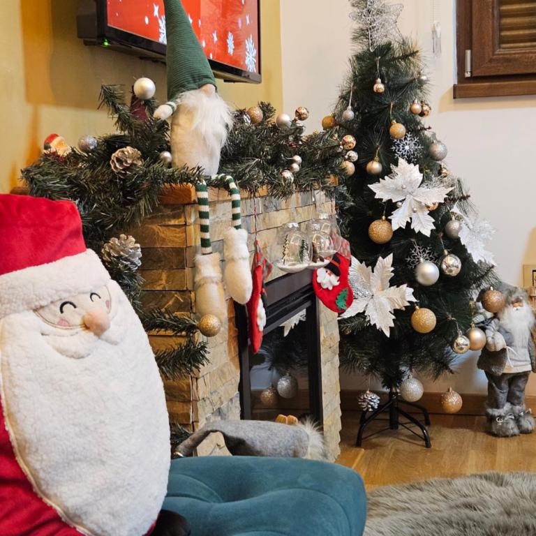 Zlatibor Apartman Aria Forest Spa & Gym - Apartman sa 1 Spavaćom Sobom - 30
