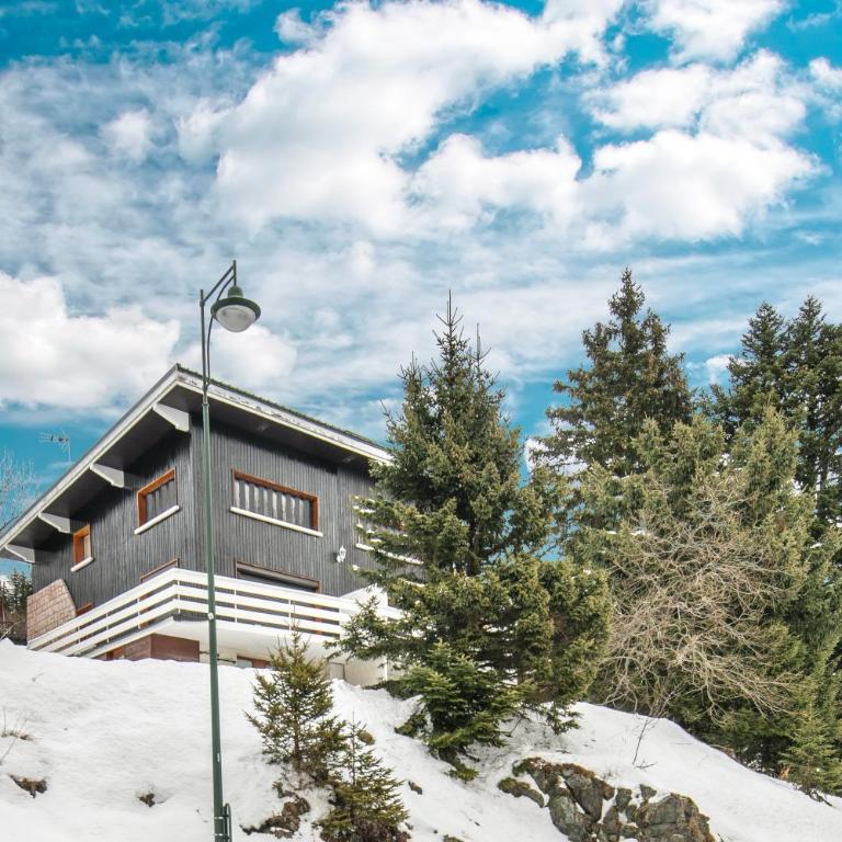 La Perchette - Joli chalet classé 3 étoiles - Haus mit 4 Schlafzimmern - 4