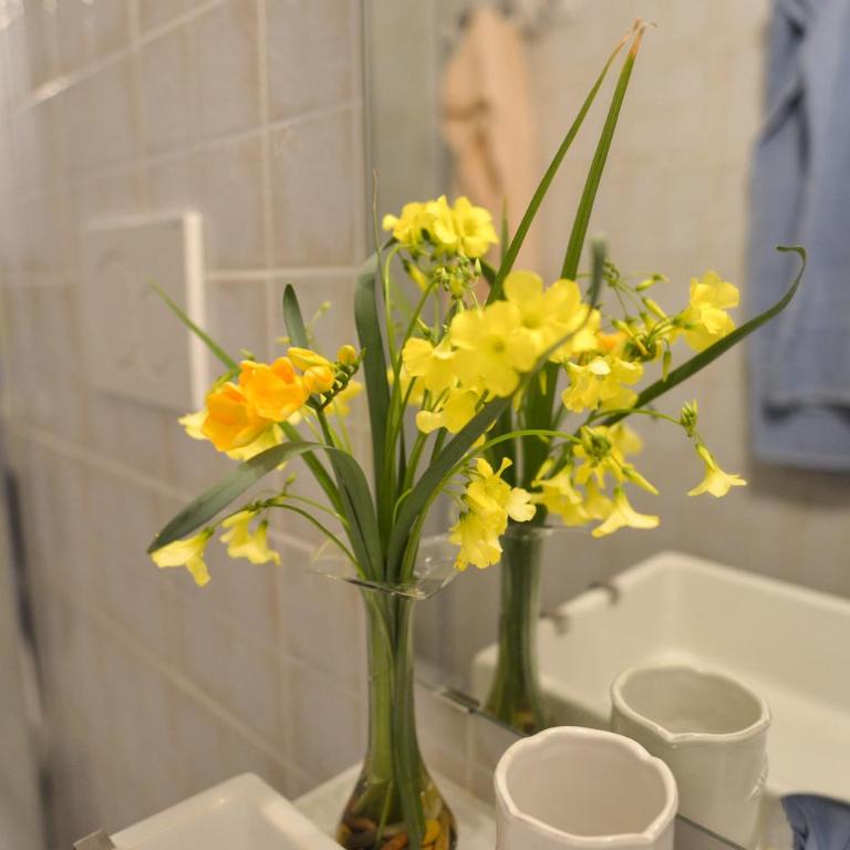 B&B All'Ombra di San Pietro - Large Double or Twin Room with Balcony - 8