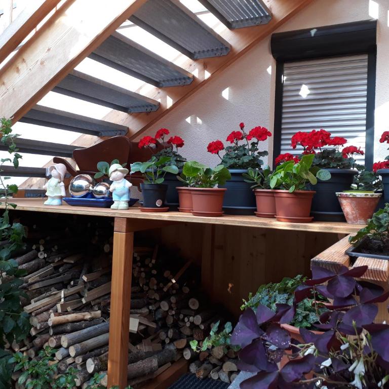 Apartchalet Sisi- including Saalfelden Leogang Card - Apartment mit 2 Schlafzimmern und Terrasse - 18