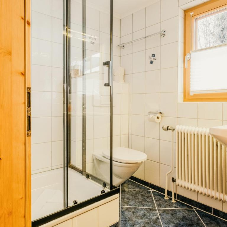HOFERHOF Schladming -Dachstein - Doppelzimmer Lindenbaum mit Balkon - 3