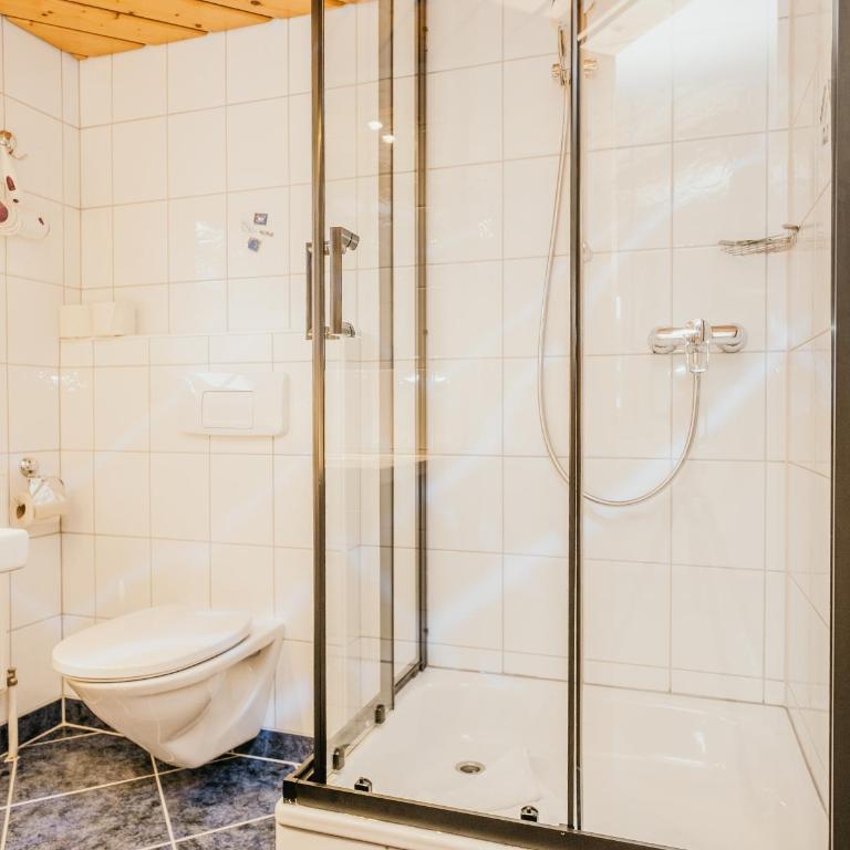 HOFERHOF Schladming -Dachstein - Doppelzimmer Morgensonne mit Balkon - 2