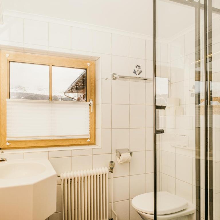 HOFERHOF Schladming -Dachstein - Doppelzimmer Dachstein mit Balkon - 2